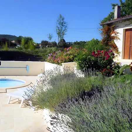 Le Amical Des Chiens