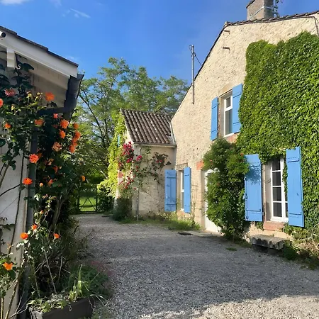 Le Amical Des Chiens *