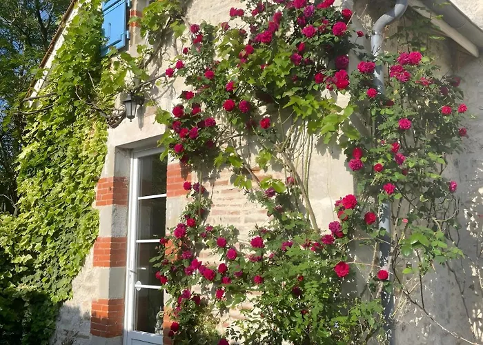 Dom wakacyjny Le Amical Des Chiens