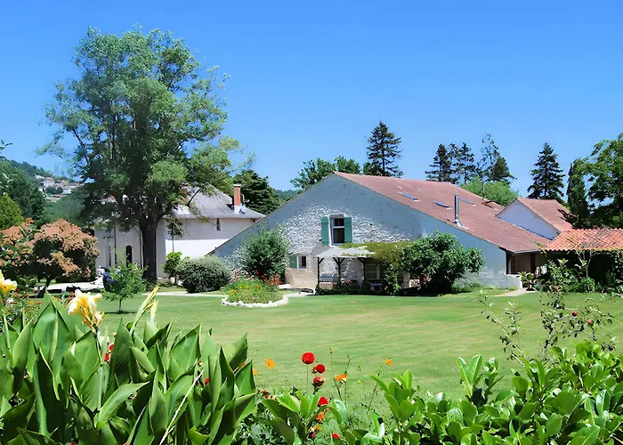 Le Amical Des Chiens