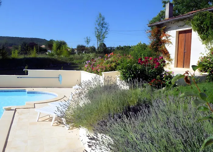 Le Amical Des Chiens