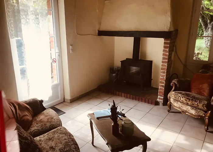 Le Amical Des Chiens *