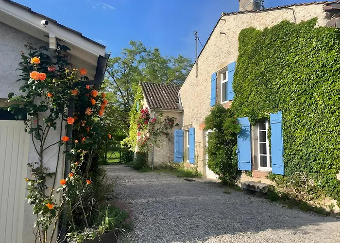 Le Amical Des Chiens *